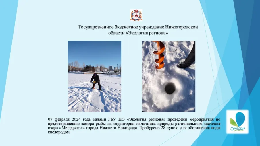 07 февраля 2024 года силами ГБУ НО «Экология региона» проведены мероприятия по предотвращению замора рыбы на территории памятника природы регионального значения озеро «Мещерское» города Нижнего Новгорода. Пробурено 28 лунок  для обогащения воды кислородом.