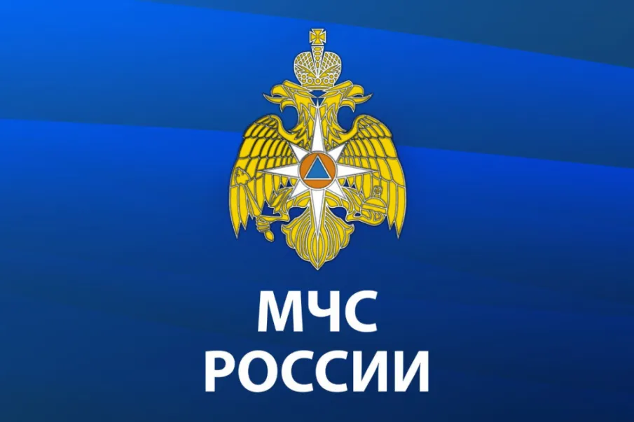 Разработано мобильное приложение по безопасности «МЧС России»