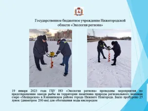 19 января 2023 года ГБУ НО «Экология региона» проведены мероприятия по предотвращению замора рыбы на территории памятника природы регионального значения озеро «Мещерское» в Канавинском районе города Нижнего Новгорода.